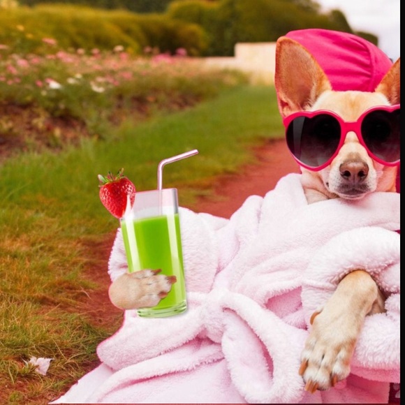 Dog Lovers Mystery Box - Picture 2 of 2